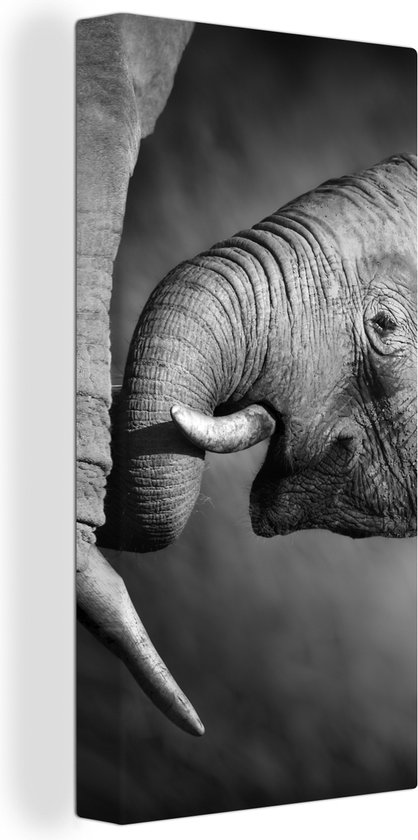 Canvas schilderij - Wilde dieren - Olifanten - Zwart - Wit - Woonkamer - Canvas - 40x80 cm - Muurdecoratie - Canvas doek