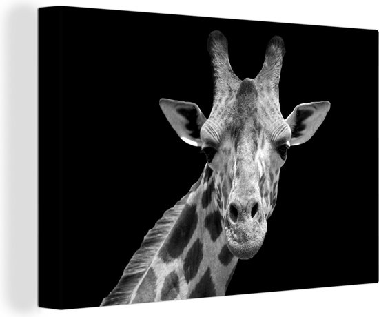 Canvas - Wilde dieren - Giraffe - Zwart - Wit - Schilderijen op canvas - Canvas doek - 30x20 cm - Wanddecoratie - Woonkamer