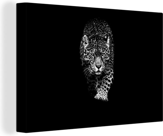 Canvas - Wilde dieren - Luipaard - Natuur - Zwart - Wit - Schilderijen op canvas - 90x60 cm - Muurdecoratie - Canvasdoek