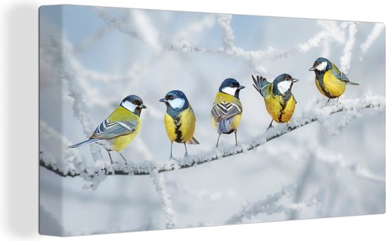 Canvas - Schilderij - Vogel - Koolmees - Winter - Sneeuw - Takken - Schilderijen op canvas - Canvas doek - 80x40 cm - Wanddecoratie vogels