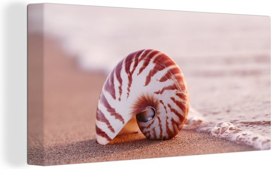 Tableau Toile Déco Plage Coquillages - 70x50 Cm - Impression HD Sans Cadre - Pour Salon Chambre
