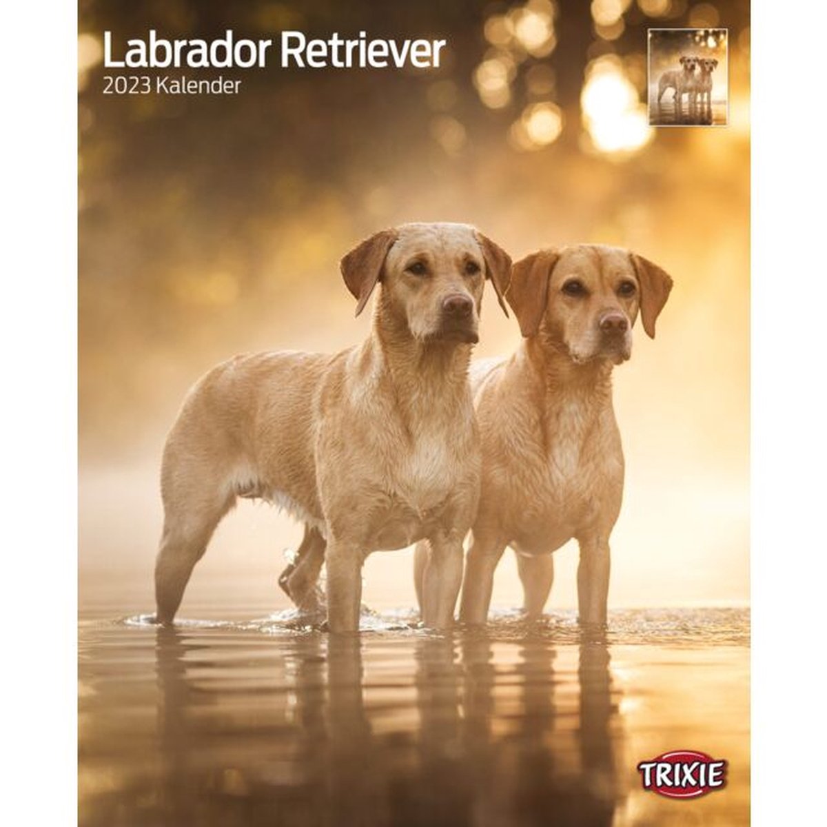 Trixie Kalender Labrador Retrievers