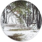 WallClassics - PVC Schuimplaat Muurcirkel - Vallende Sneeuw op Bomen - 70x70 cm Foto op Muurcirkel (met ophangsysteem)