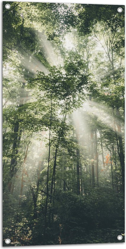 WallClassics - Affiche de jardin - Rayons lumineux à travers les branches vertes des Arbres de la forêt - Photo 50x100 cm sur affiche de jardin (décoration murale pour l'extérieur et l'intérieur)