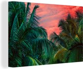 Canvas Schilderij Palm - Tropisch - Jungle - 90x60 cm - Wanddecoratie