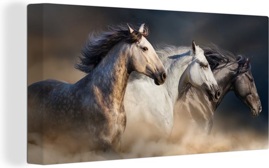 Canvas Schilderij Paarden - Zand - Stof - 80x40 cm - Wanddecoratie