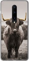 Geschikt voor OnePlus 7 Pro hoesje - Schotse hooglander - Goud - Hoorns - Siliconen Telefoonhoesje