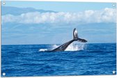 WallClassics - Tuinposter – Walvis Staart boven het Zee Oppervlak - 90x60 cm Foto op Tuinposter  (wanddecoratie voor buiten en binnen)