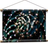 WallClassics - Textielposter - Prikkels van Cactus - 60x40 cm Foto op Textiel