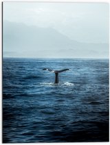 WallClassics - Dibond - Walvis Staart boven Zee - 60x80 cm Foto op Aluminium (Met Ophangsysteem)