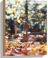 WallClassics - Bois - Feuilles tombantes en forêt - 30 x 40 cm - Épaisseur 12 mm - Photo sur bois (avec système de suspension)