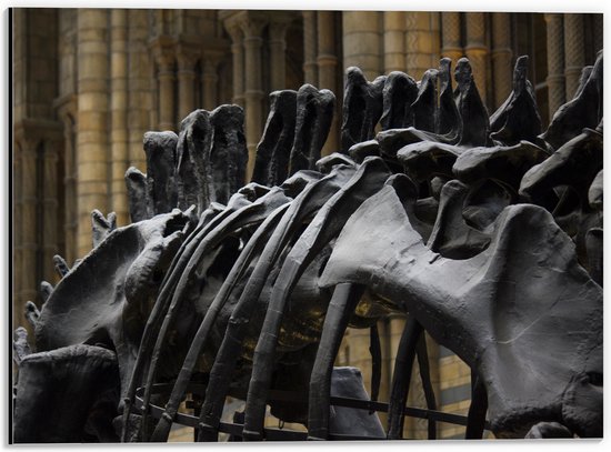 WallClassics - Dibond - Zwart Skelet van een Dino - 40x30 cm Foto op Aluminium (Met Ophangsysteem)