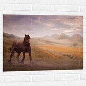 WallClassics - Muursticker - Zwart Paard in de Natuur - 80x60 cm Foto op Muursticker
