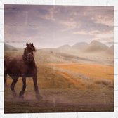 WallClassics - Muursticker - Zwart Paard in de Natuur - 50x50 cm Foto op Muursticker