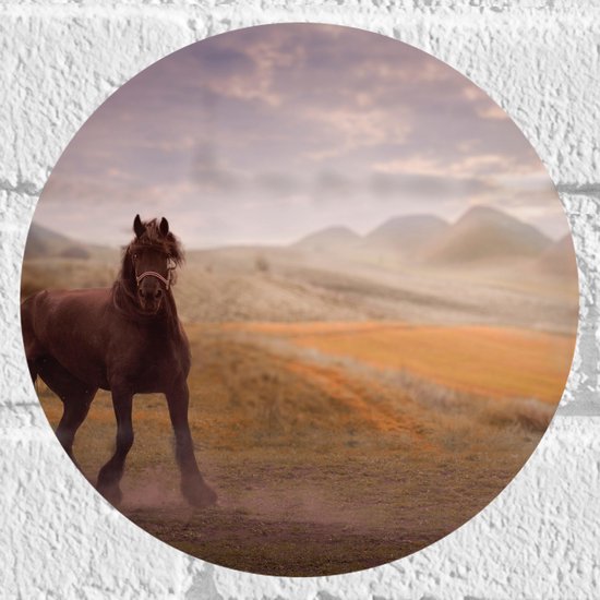 WallClassics - Muursticker Cirkel - Zwart Paard in de Natuur - 20x20 cm Foto op Muursticker