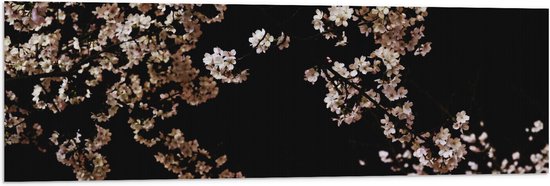 WallClassics - Vlag - Wit met Roze Bloementjes met Zwarte Achtergrond - 120x40 cm Foto op Polyester Vlag