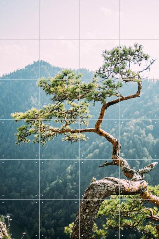 IXXI Sokolica Pine Tree - Wanddecoratie - Fotografie - 80 x 120 cm