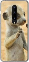 Geschikt voor OnePlus 7 Pro hoesje - Stokstaartjes - Bruin - Dier - Siliconen Telefoonhoesje