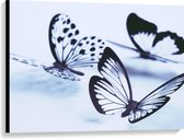 WallClassics - Canvas  - Zwarte Vlinders op Witte Achtergrond - 100x75 cm Foto op Canvas Schilderij (Wanddecoratie op Canvas)