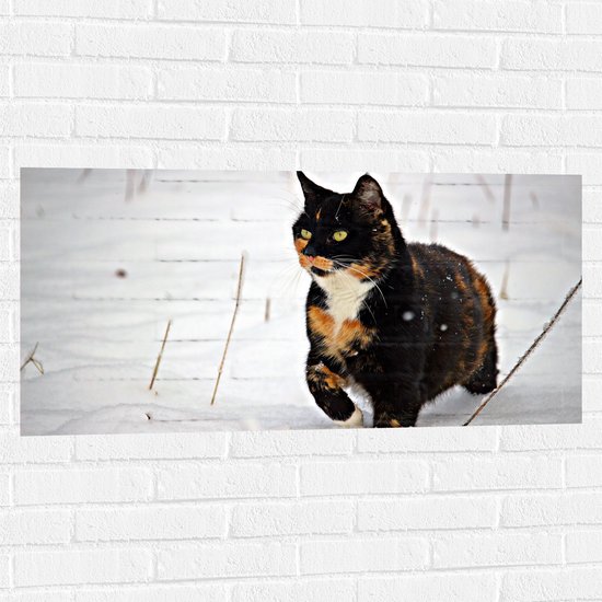 WallClassics - Muursticker - Zwarte Poes in de Sneeuw - 100x50 cm Foto op Muursticker