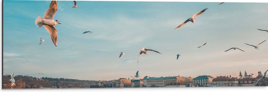 WallClassics - Dibond - Vliegende Vogels Boven een Rivier in Praag - 90x30 cm Foto op Aluminium (Wanddecoratie van metaal)