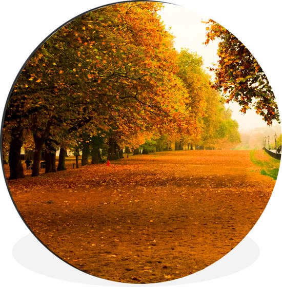 WallCircle - Wandcirkel - Muurcirkel - Herfst - London - Engeland - Aluminium - Dibond - ⌀ 120 cm - Binnen en Buiten XXL