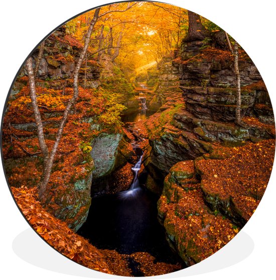 WallCircle - Wandcirkel - Muurcirkel - Een waterval in de herfst - Aluminium - Dibond - ⌀ 60 cm - Binnen en Buiten