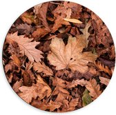 WallClassics - Cercle mural Dibond - Tas de feuilles d'automne - Photo 60x60 cm sur cercle mural en aluminium (avec système d'accrochage)