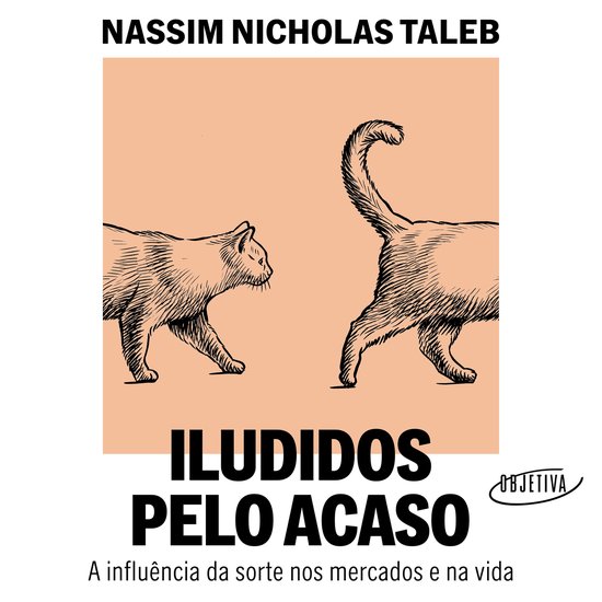 Iludidos pelo acaso - cover