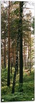 WallClassics - Poster de jardin - Grands Arbres avec verdure en forêt - 40 x 120 cm Photo sur poster de jardin (décoration murale pour l'extérieur et l'intérieur)