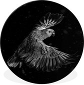 WallCircle - Wandcirkel - Muurcirkel - Vliegende papegaai met gouden veren op een zwarte achtergrond - zwart wit - Aluminium - Dibond - ⌀ 30 cm - Binnen en Buiten