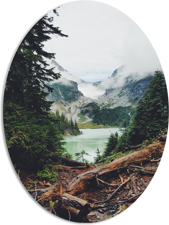 WallClassics - Panneau de mousse PVC ovale - Souche d'arbre couchée dans une zone de montagne avec brouillard - 72 x 96 cm Photo sur ovale (avec système de suspension)