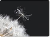 Muismat Groot - Bloem - Paardenbloem - Plant - 40x30 cm - Mousepad - Muismat