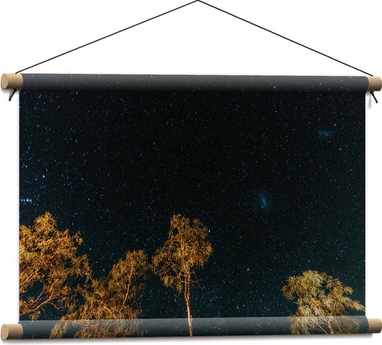 WallClassics - Textielposter - Bomen in de Nacht onder Sterrenhemel - 60x40 cm Foto op Textiel