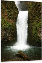 WallClassics - Dibond - Witte Waterval met Mos - 80x120 cm Foto op Aluminium (Met Ophangsysteem)