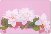Bureau onderlegger - Muismat - Bureau mat - Bloesem - Zomer - Roze - 60x40 cm