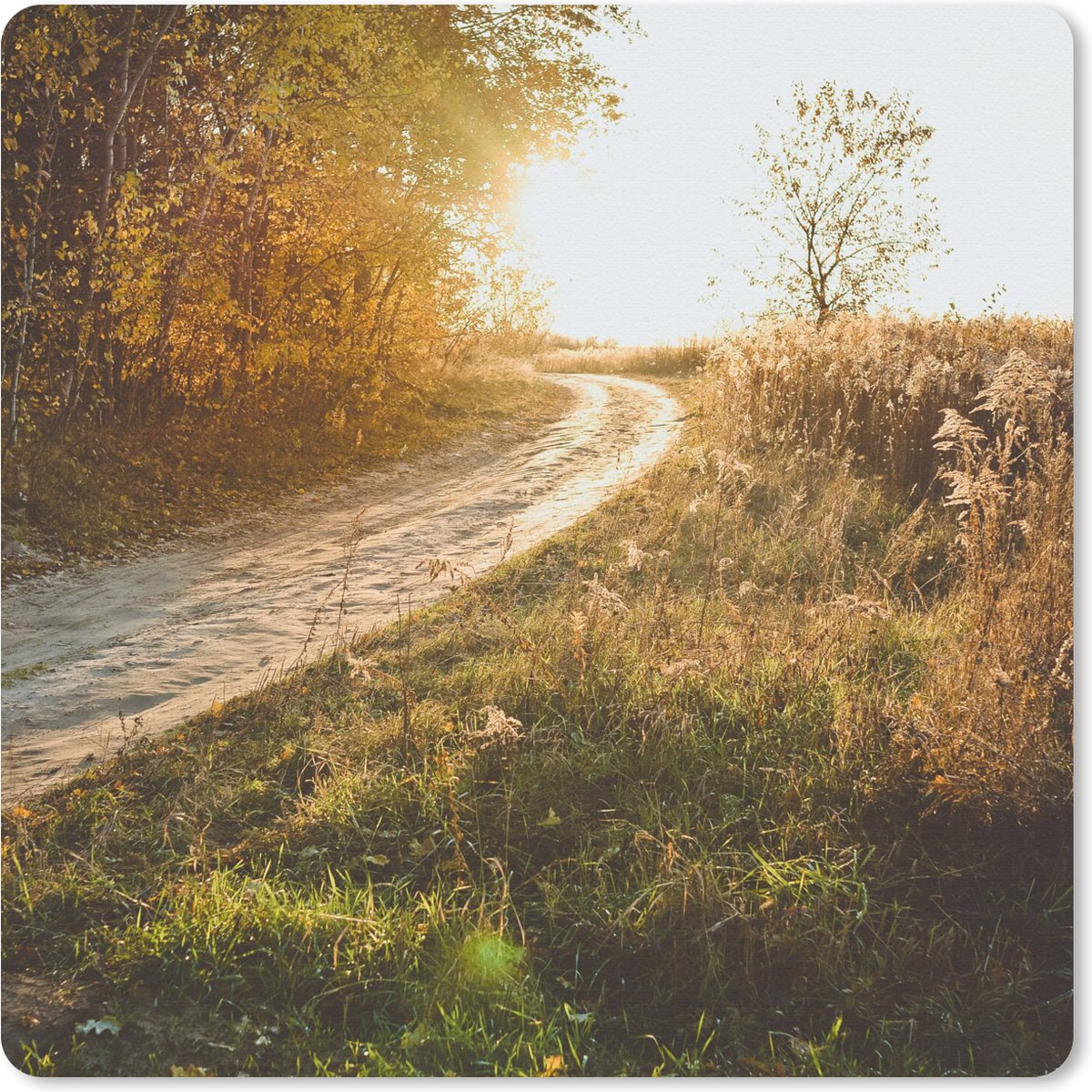Muismat 20x20 cm - Mousepad Pad - Natuur - Boom - Muismatten