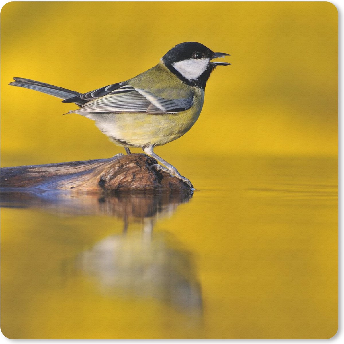 Muismat 20x20 cm - Mousepad Koolmees - Vogel - Water - Muismatten