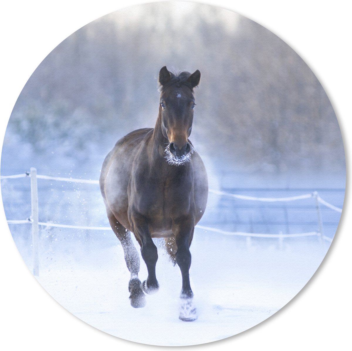 Muismat rond 30x30 cm - Mousepad Paard - Sneeuw - Winter - Hek - Ronde muismatten