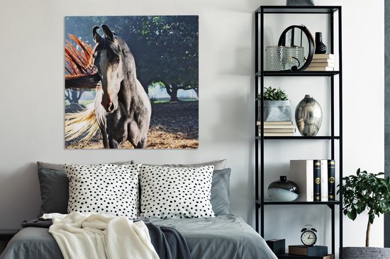 Marwari noir pendant les derniers rayons du soleil toile 2cm