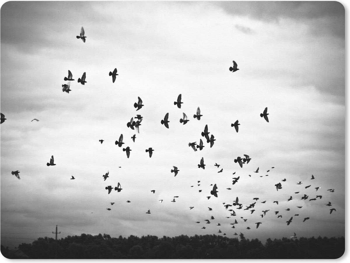 Muismat Groot - Dieren - Vogels - Wolken - Zwart - Wit - 40x30 cm - Mousepad - Muismat