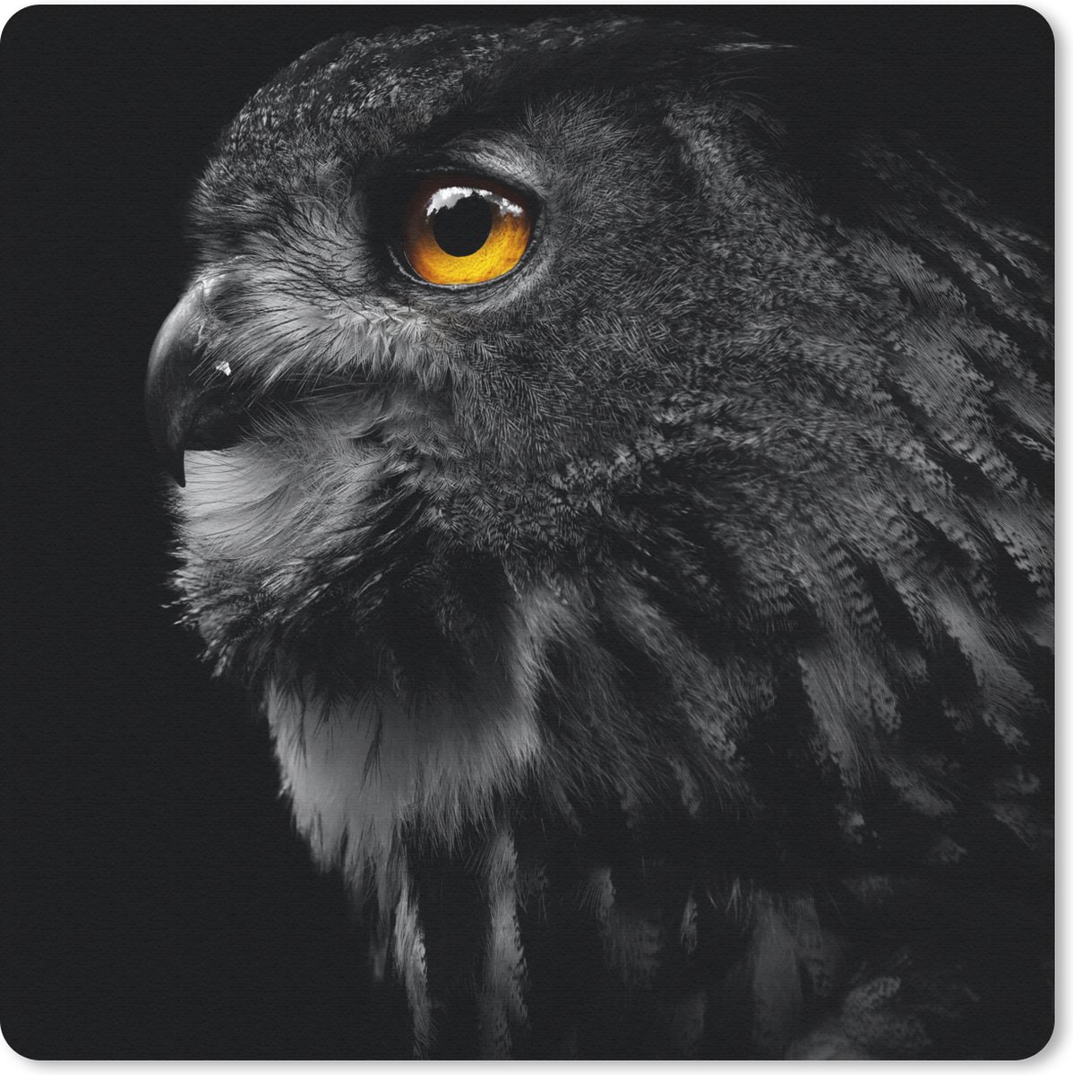 Muismat 30x30 cm - Mousepad Uil - Vogel - Zwart - Portret - Muismatten