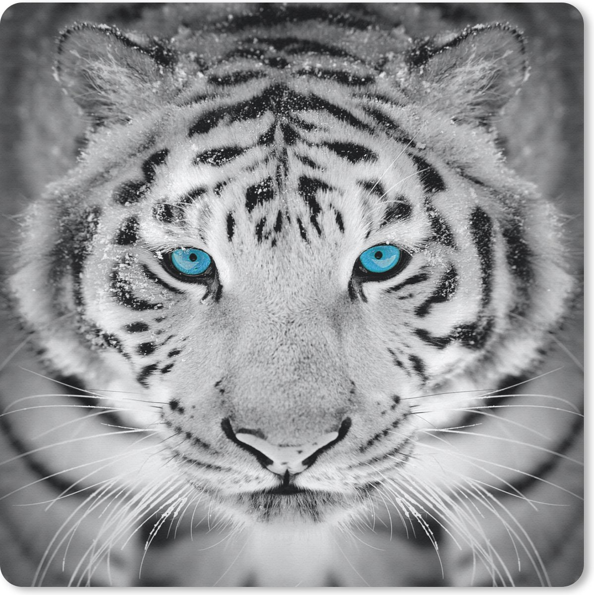 Muismat 20x20 cm - Mousepad Dieren - Tijger - Ogen - Blauw - Zwart wit - Muismatten