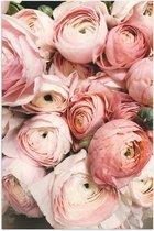 WallClassics - Poster Glossy - Bouquet de Roses Rose Clair - 40x60 cm Photo sur Papier Poster avec Finition Brillante