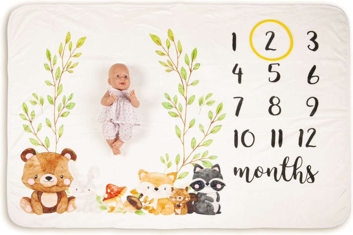 Goedkoopste Mijlpaaldeken Beer - mijlpaalkaart - milestone - kraamcadeau - babykleed - baby dekentje - fleece - kraamcadeau - baby shower - geboorte - cadeau - speelkleed - foto baby - herinnering - baby cadeau - kerstcadeau - foto herinnering
