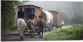 WallClassics - Acrylglas - Ouderwetse Caravan met Paard en Wagen - 100x50 cm Foto op Acrylglas (Met Ophangsysteem)