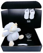 Teddybeer nachtlamp - kraamcadeau - knuffelbeer - 2 maten - 2 kleuren - rechtstreeks versturen als cadeau