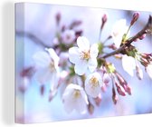 Canvas Schilderij Bloemen - Sakura - Tak - Bloesem takken - 120x80 cm - Wanddecoratie