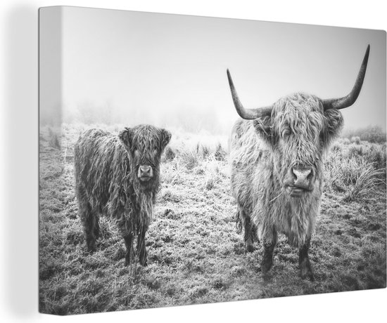 Canvas Schilderij Schotse hooglanders - Licht - Lucht - Natuur - 30x20 cm - Wanddecoratie