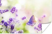 Poster Lavendel - Vlinder - Bloemen - 90x60 cm